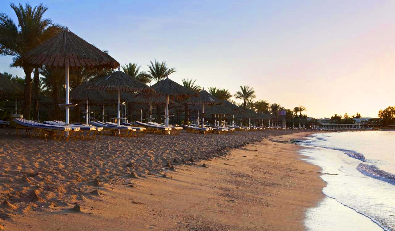 Sharm Dreams Resort  Sharm El Sheikh