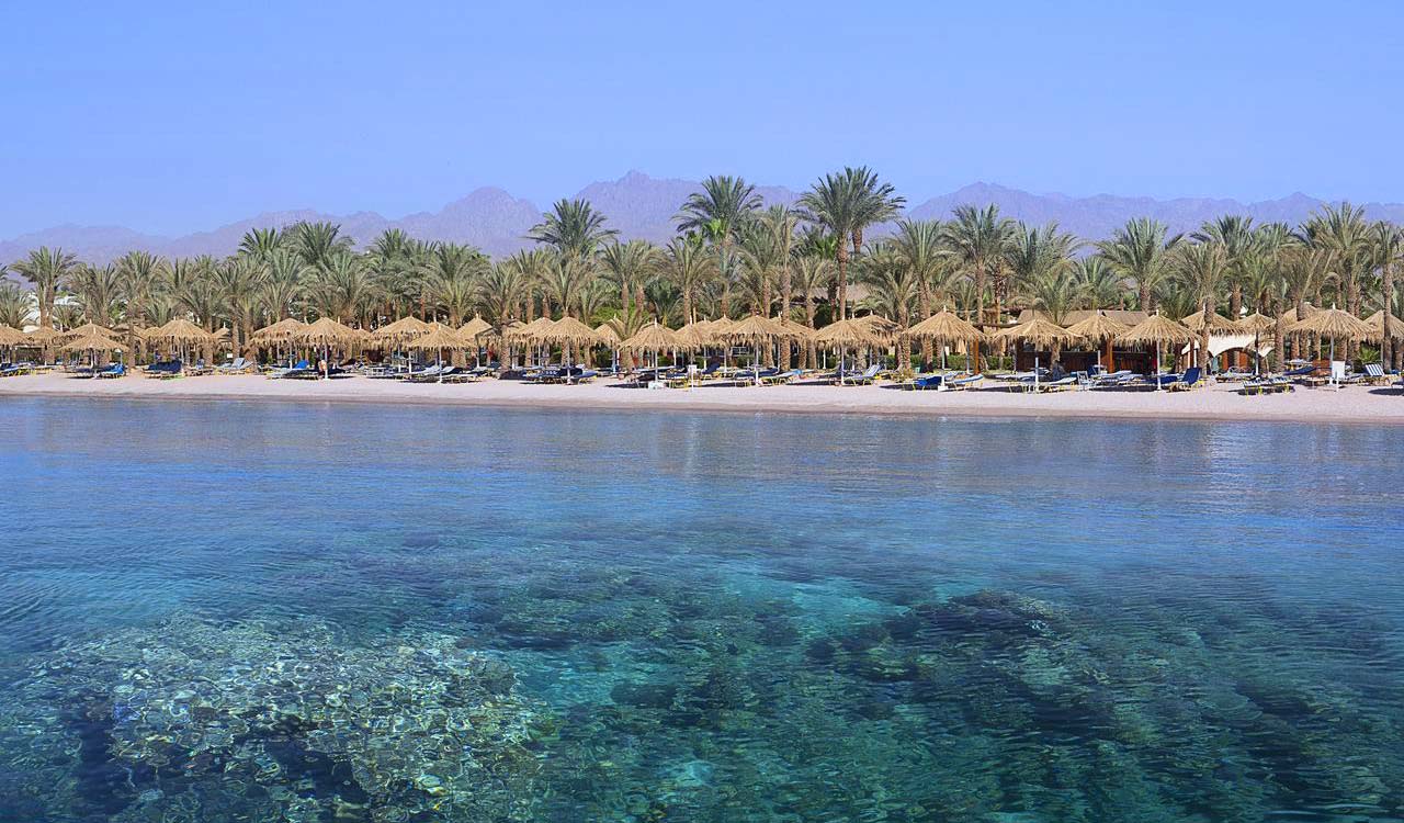 Sharm Dreams Resort  Sharm El Sheikh